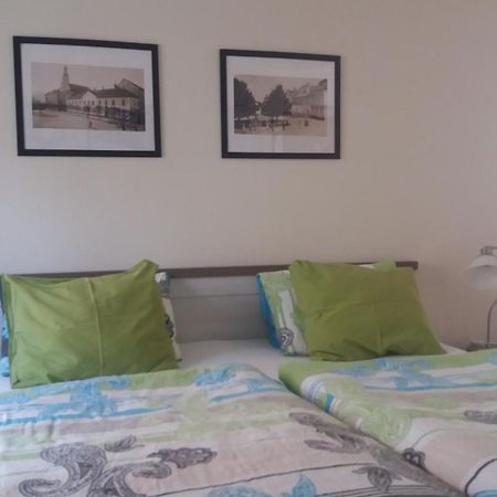 Penzion A Restaurace Modra Ruze Tabor Room photo